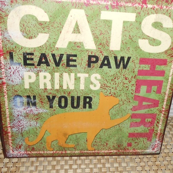 Cats_Leave_Paw_Prints
